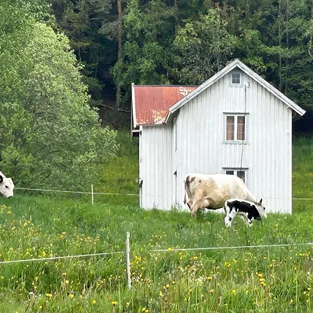 Pinos Svorkmo